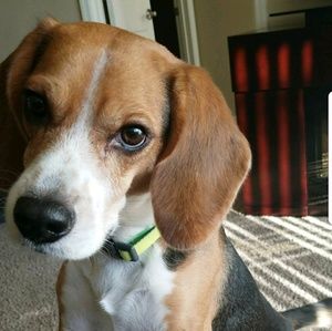 Meet your Posher, Jordan